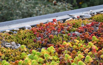 the cost of Badworthy green roof installation