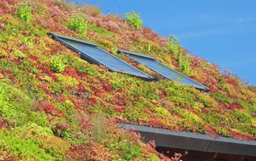 Badworthy living roof systems