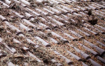 Badworthy roof cleaning companies