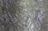 Badworthy fibreglass roof work