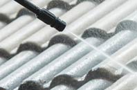 rated Badworthy roof cleaning companies